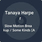 Slow Motion Breakup / Some Kinds - Vinyl LP