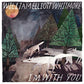I'm With You - Vinyl LP 180 Gram