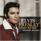 Where No One Stands Alone - Vinyl LP 140 Gram