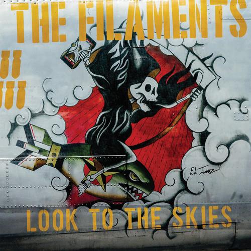Look To The Skies - Vinyl LP