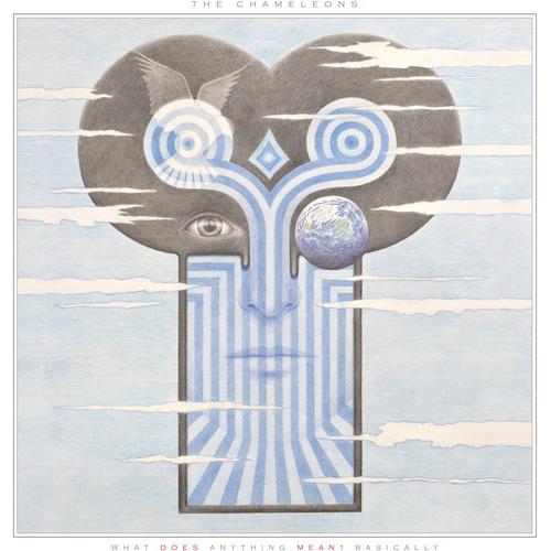 What Does Anything Mean? Basically - Vinyl LP