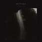 Colorful Moth - Vinyl LP