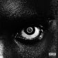 Lithopedion - Vinyl LP