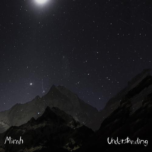Understanding - Vinyl LP