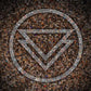 The Ghost Inside - Vinyl LP