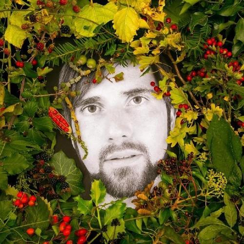 Hoick - Vinyl LP