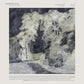 Language Of Limbs - Vinyl LP