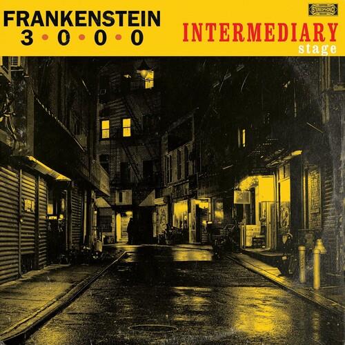 Intermediary Stage - Vinyl LP
