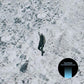 Anthropocene Blues - Vinyl LP