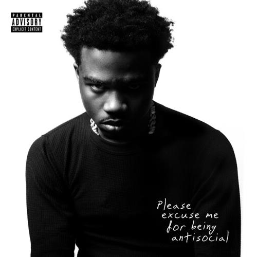 Please Excuse Me For Being Antisocial - Vinyl LP