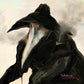 Quarantena - Vinyl LP