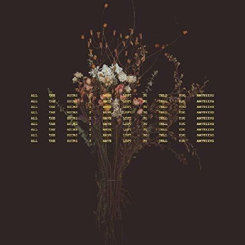 All The Hours I Have Left To Tell You Anything - Vinyl LP