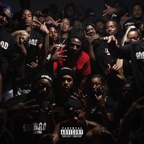Gangland Landlord - Vinyl LP