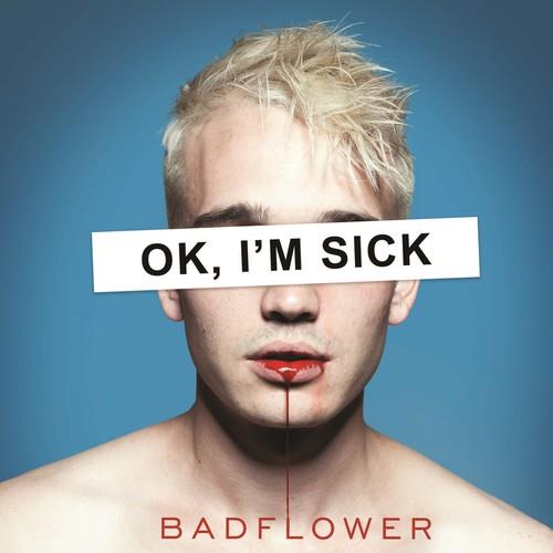 Ok, I'm Sick - Vinyl LP