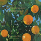 Violet Bent Backwards Over The Grass - Vinyl LP