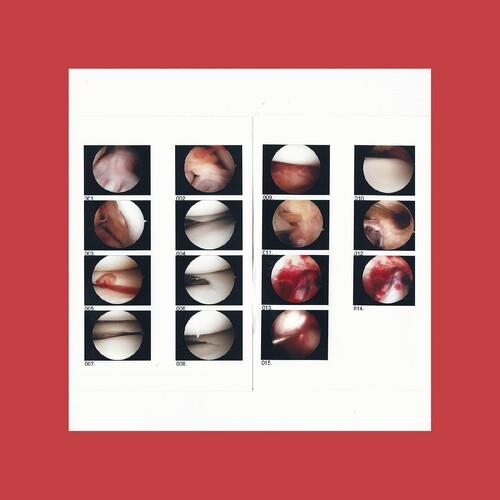 Laughing In My Sleep - Vinyl LP