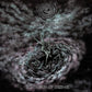 Contagion Of Despair - Vinyl LP