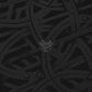 Encased In Iron - Vinyl LP