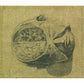 Insects - Vinyl LP