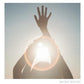 Shelter - Vinyl LP