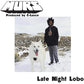 Late Night Lobo / Psychedelic Steve - 7-Inch Single