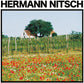 Traubenfleisch - Vinyl LP