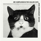 Jim Campilongo & Ten Gallon Cats - Anniversary Edition Vinyl LP