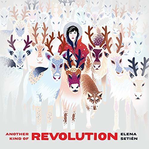 Another Kind Of Revolution - Vinyl LP