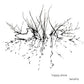 Tendrils - Vinyl LP