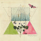Illusions (magenta Color Vinyl) - Vinyl LP