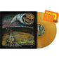 Don'T Mind The Noise - Gold - Vinyl LP