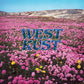 Westkust - Vinyl LP