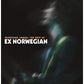 Something Unreal: The Best Of Ex Norwegian - Vinyl LP