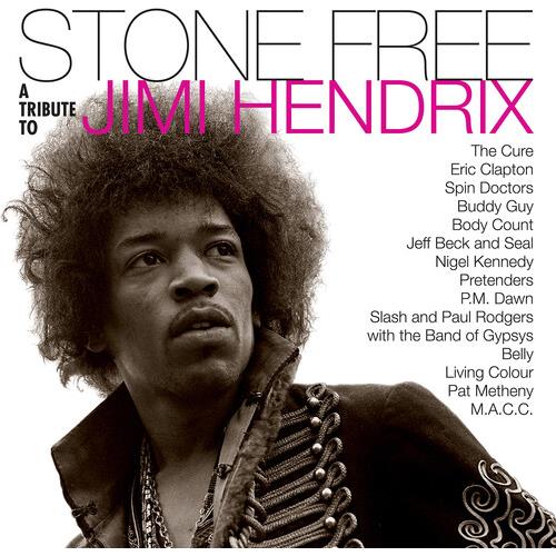 Stone Free: Jimi Hendrix Tribute - Vinyl LP (Black)