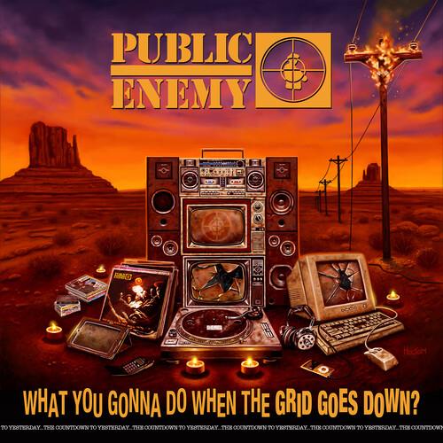 What You Gonna Do When The Grid Goes Down? - Vinyl LP
