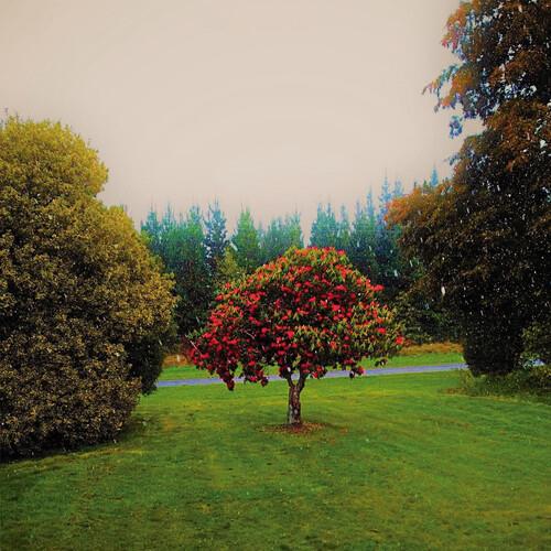 Foothills - Vinyl LP