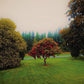 Foothills - Vinyl LP
