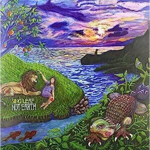 Not Earth - Vinyl LP