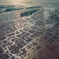 Shore - Vinyl LP