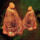 Oocyte Oil & Stolen Androgens - Vinyl LP