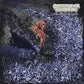 Sulfuric Disintegration - Vinyl LP