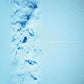 The See Within - Vinyl LP
