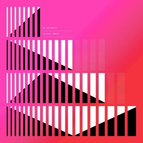 Re-Calibrate - Vinyl LP 180 Gram
