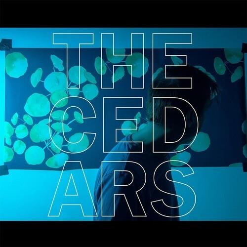 The Cedars - Vinyl LP