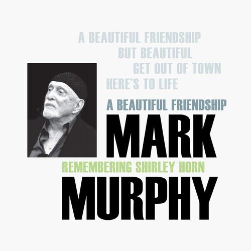 Beautiful Friendship - Vinyl LP