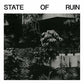 State Of Ruin - Vinyl LP
