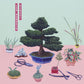 Hinoki - Limited Edition Vinyl LP