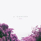 A Canyon - Vinyl LP