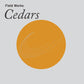 Cedars - Vinyl LP