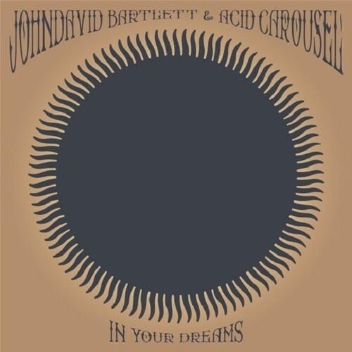 In Your Dreams - Vinyl LP